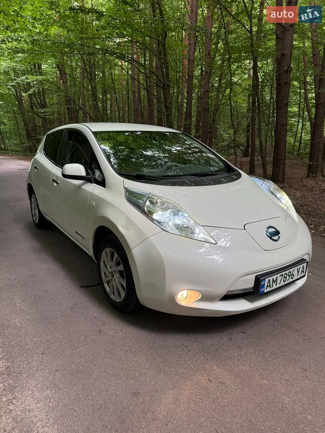 2010 Nissan Leaf - мініатюра 4