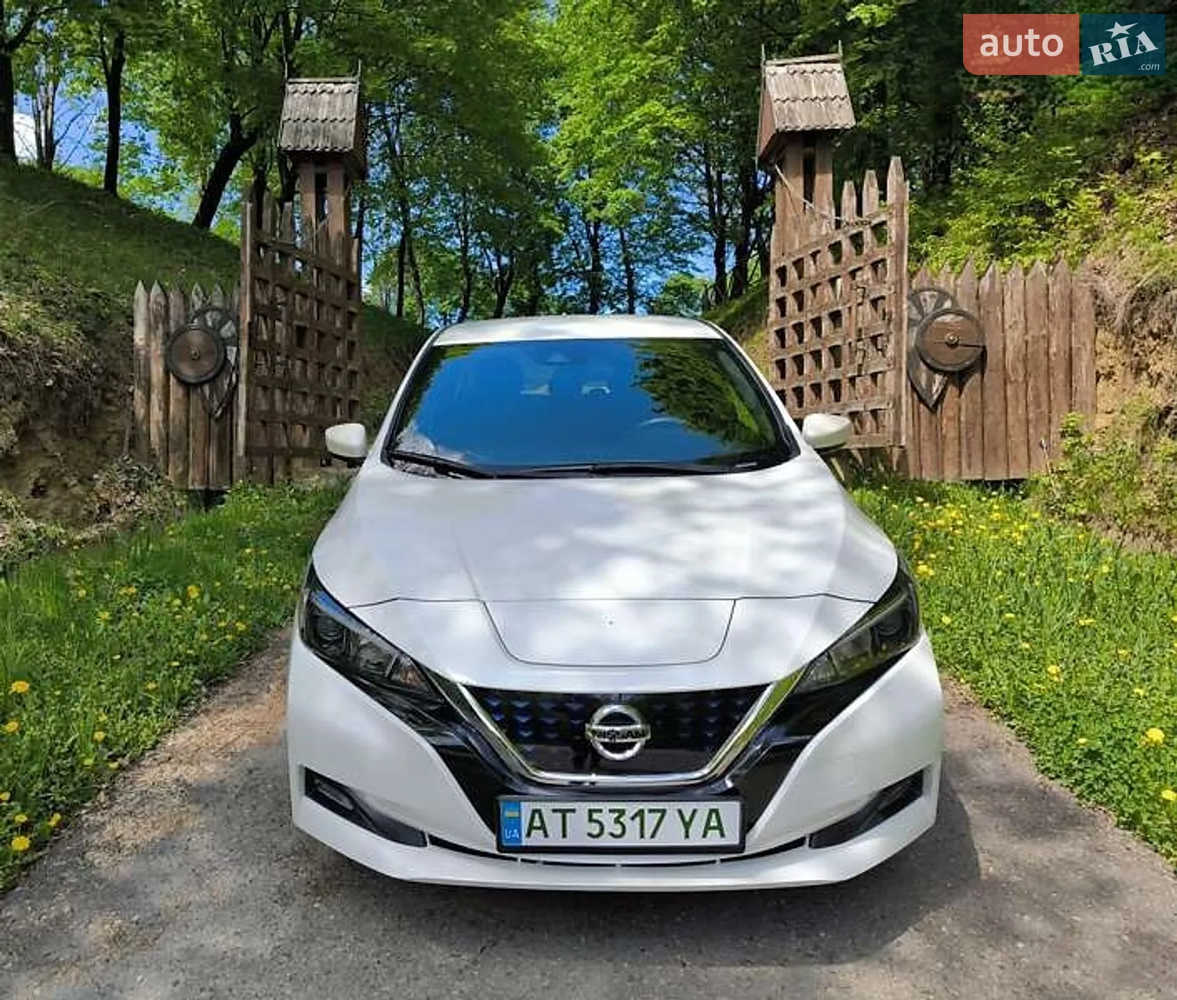 2021 Nissan Leaf - фото 1