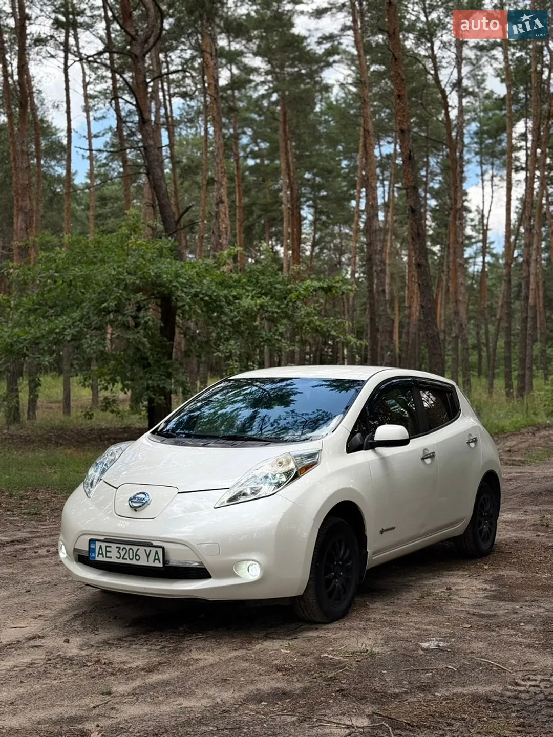 2013 Nissan Leaf - мініатюра 3