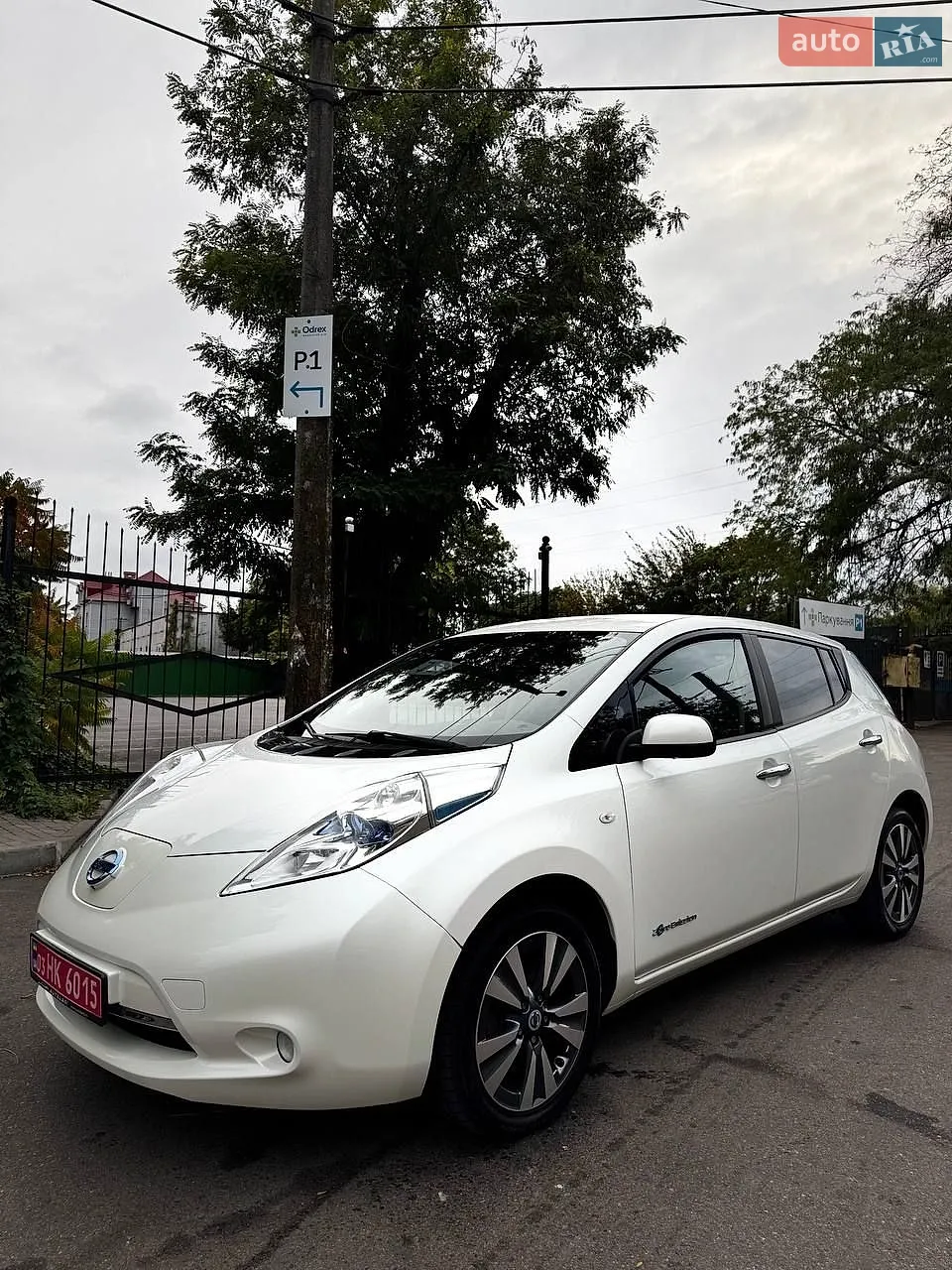 2013 Nissan Leaf - фото 1