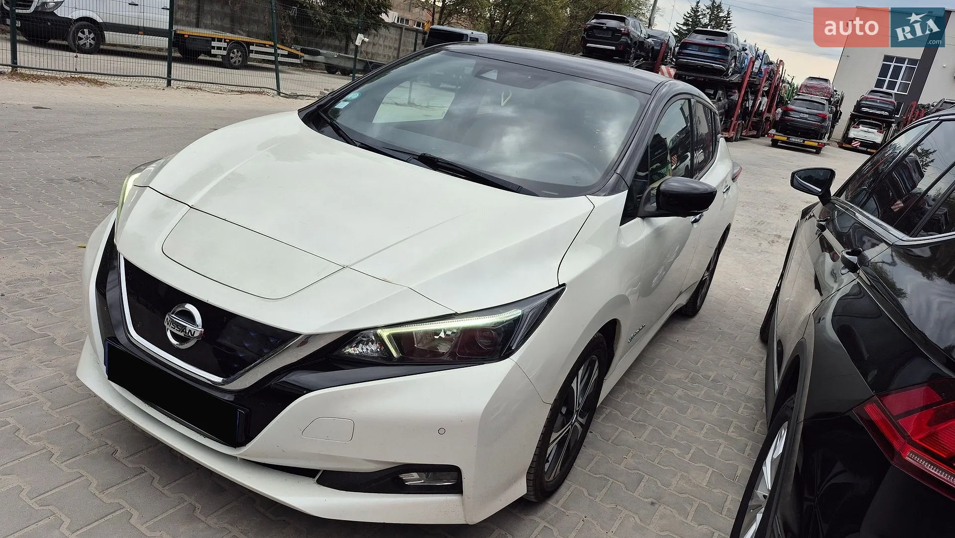 2019 Nissan Leaf - фото 1