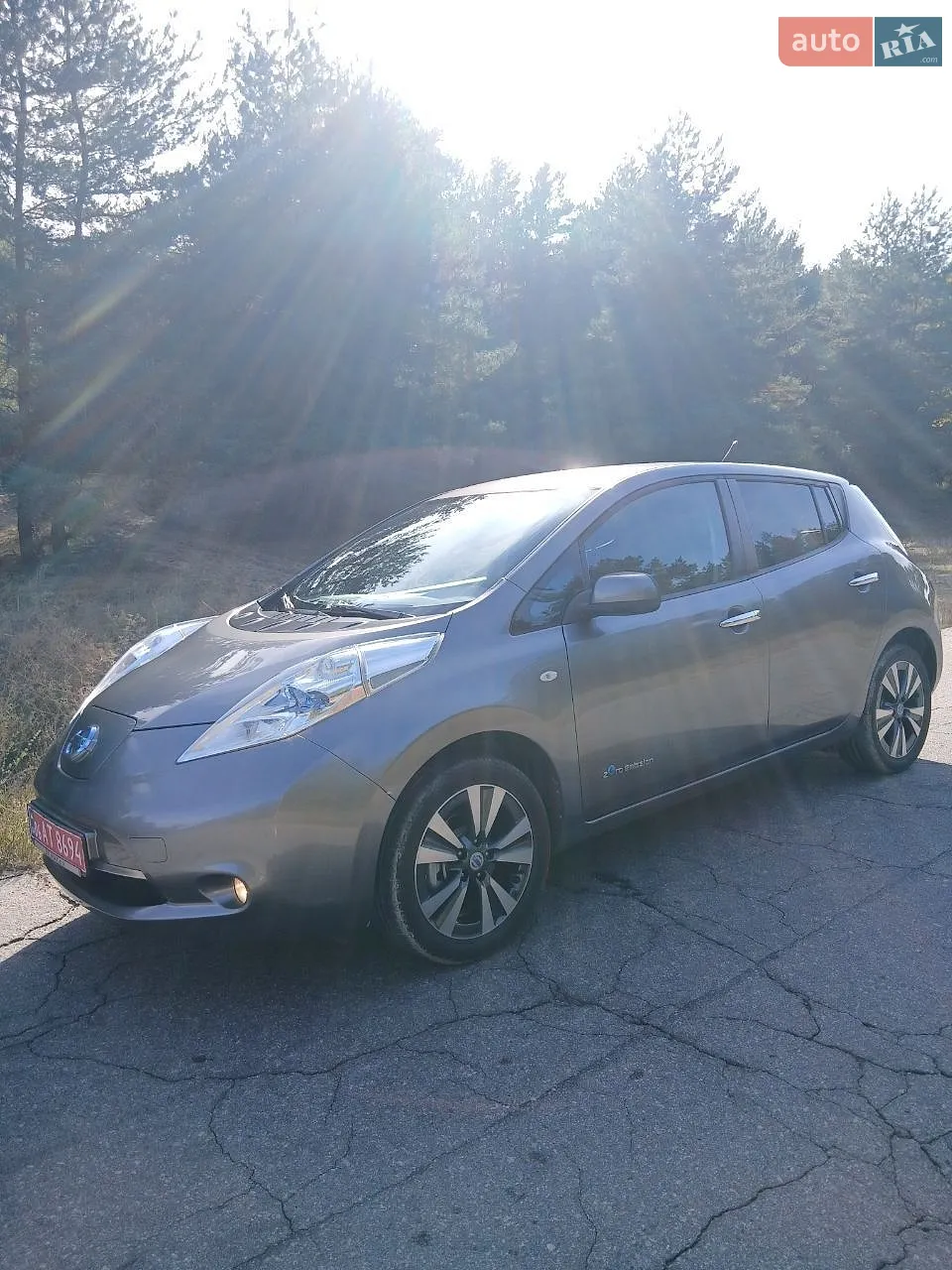 2013 Nissan Leaf - мініатюра 3