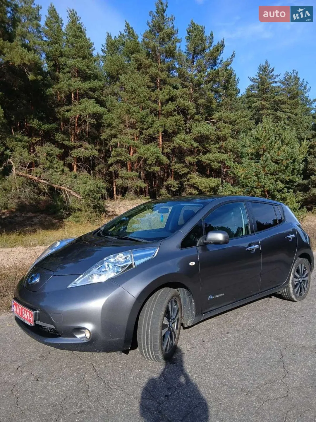 2013 Nissan Leaf - мініатюра 8