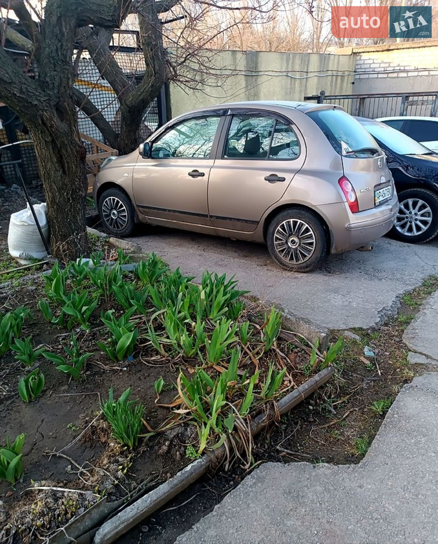 2010 Nissan Micra - мініатюра 8