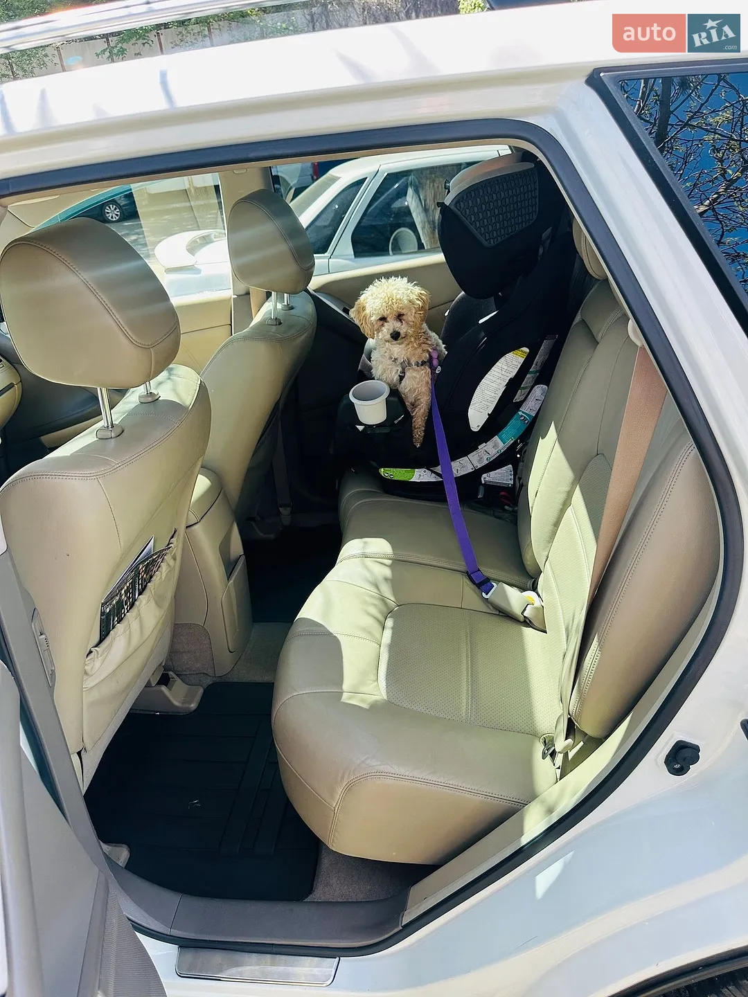 2013 Nissan Murano - мініатюра 7