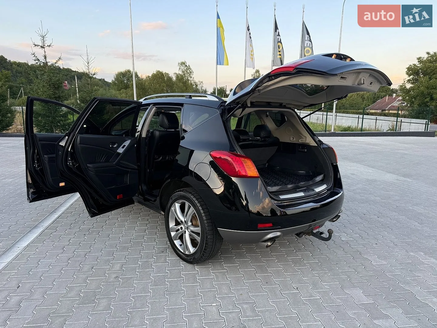 2010 Nissan Murano - мініатюра 32