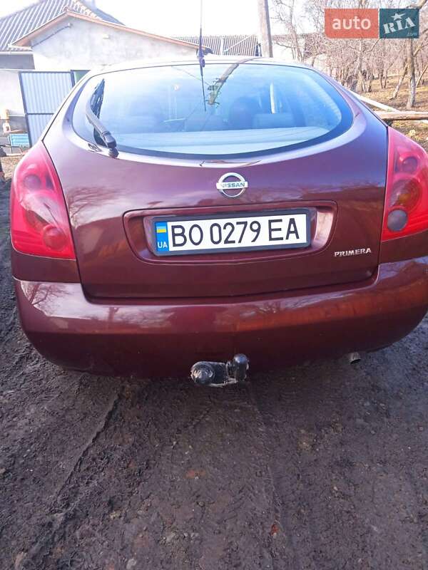 Лифтбек Nissan Primera 2003 в Залещиках