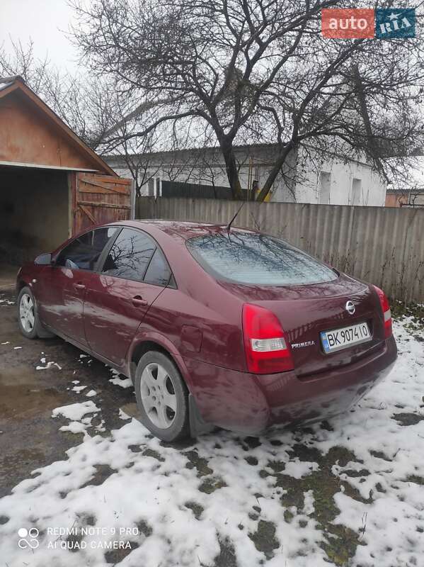 Лифтбек Nissan Primera 2003 в Здолбунове