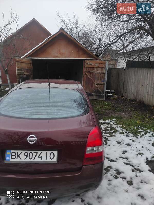 Лифтбек Nissan Primera 2003 в Здолбунове