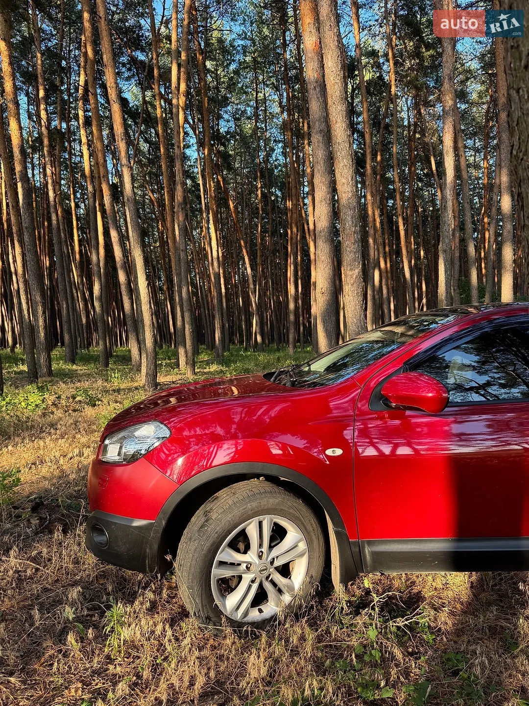 2010 Nissan Qashqai - мініатюра 9