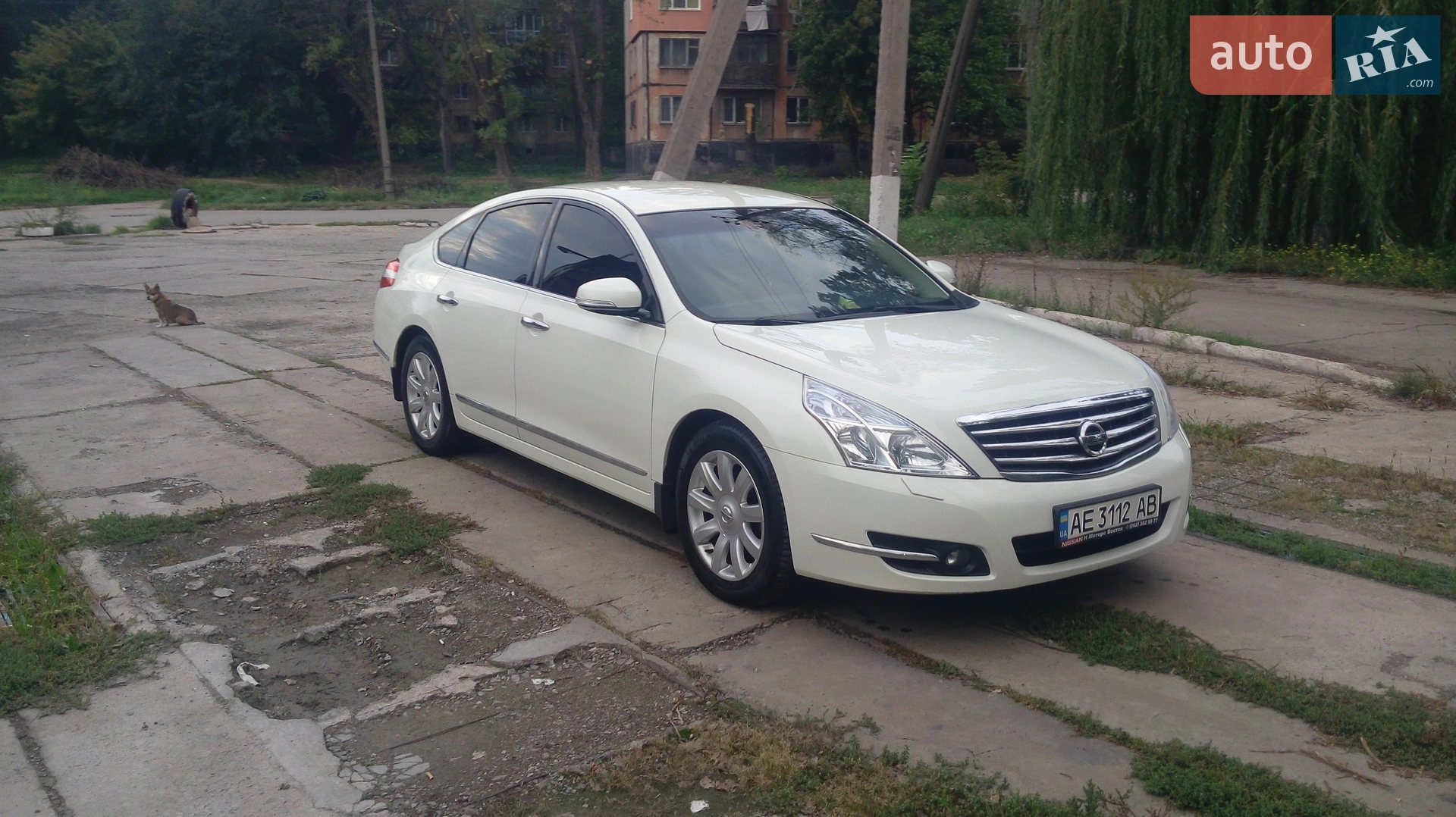 2010 Nissan Teana - мініатюра 8