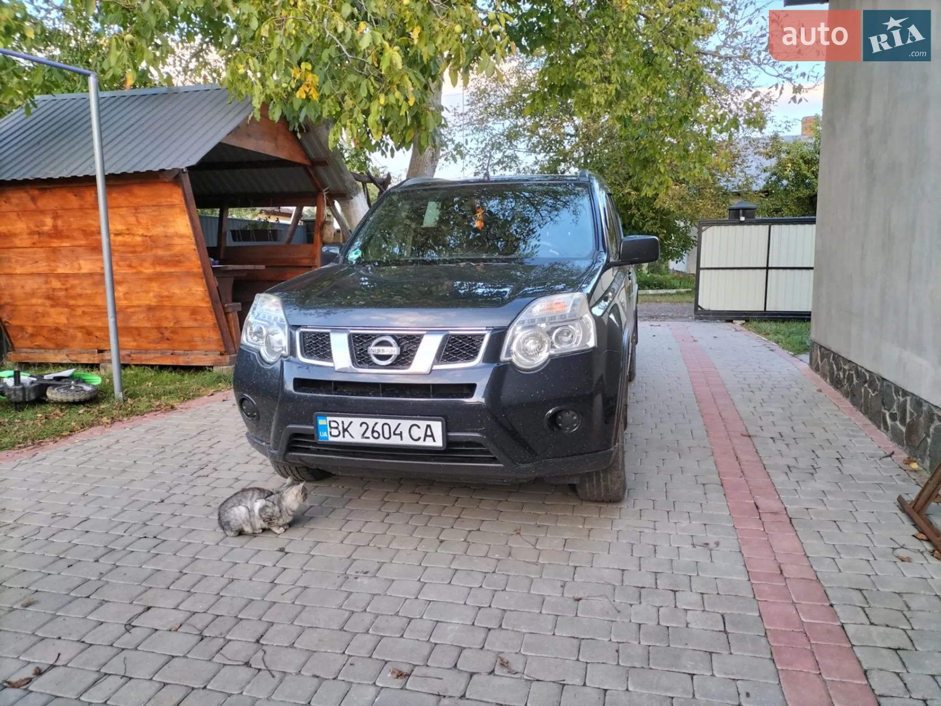 2011 Nissan X-Trail - мініатюра 2
