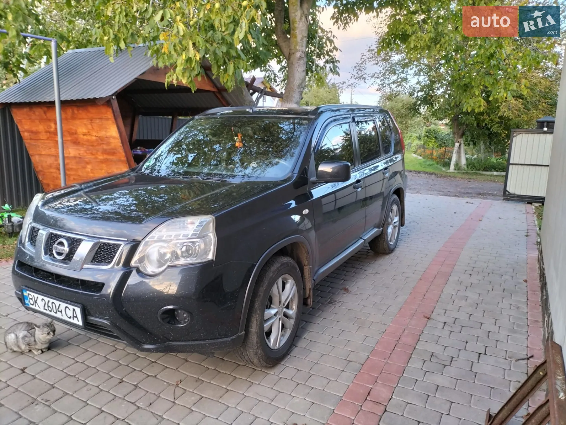 2011 Nissan X-Trail - мініатюра 3