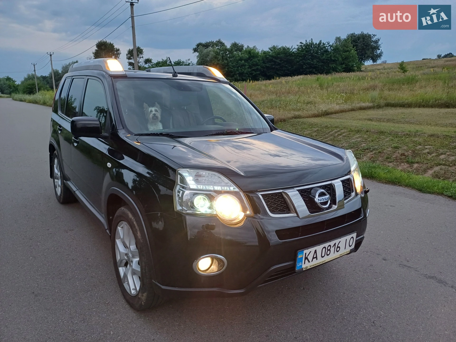 2012 Nissan X-Trail - мініатюра 4