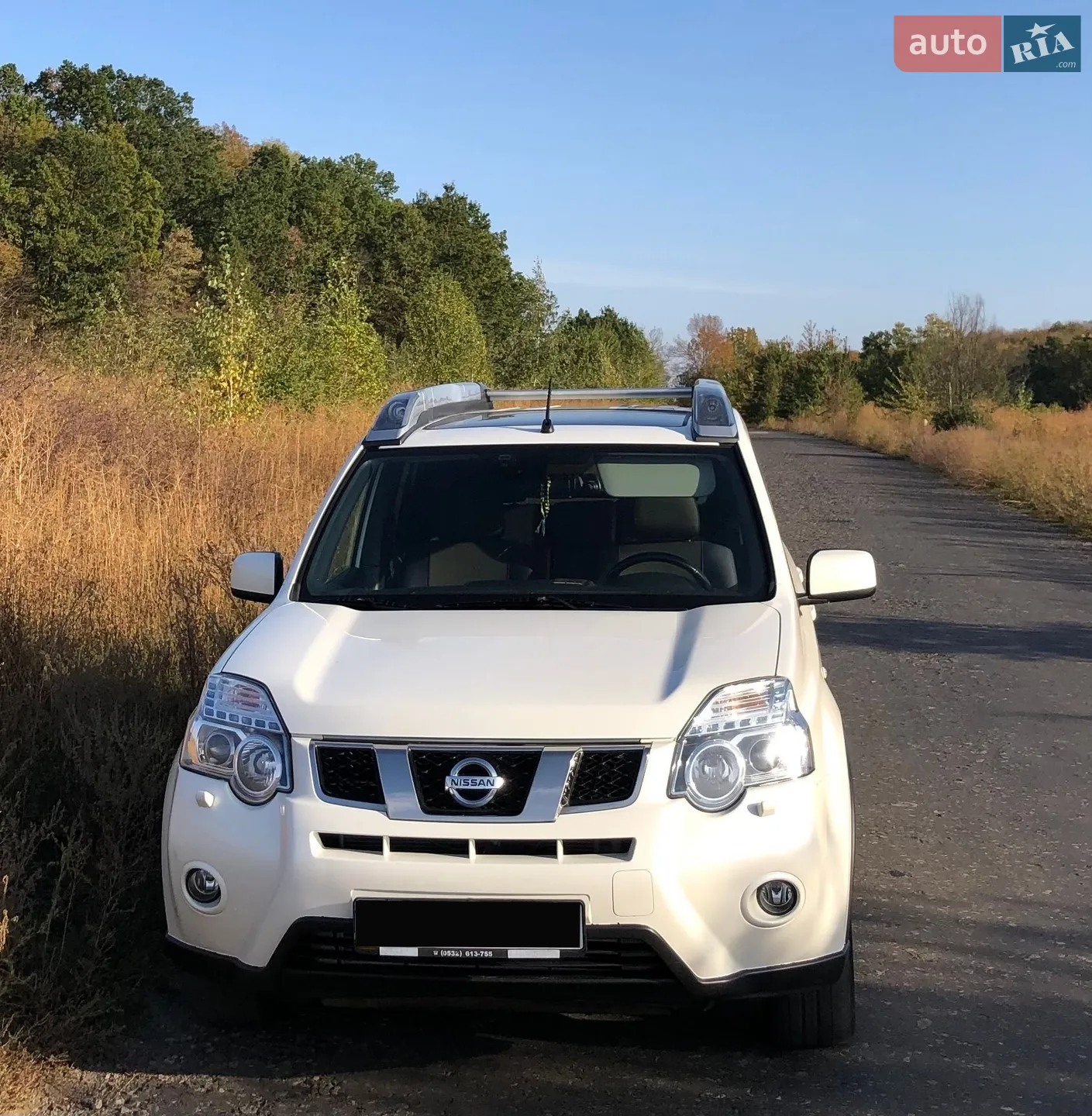 2013 Nissan X-Trail - фото 1