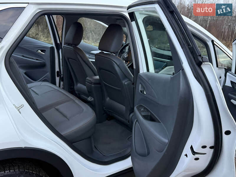 Хэтчбек Opel Ampera-e 2019 в Львове фото 27 Хэтчбек Opel Ampera-e 2019 в Львове