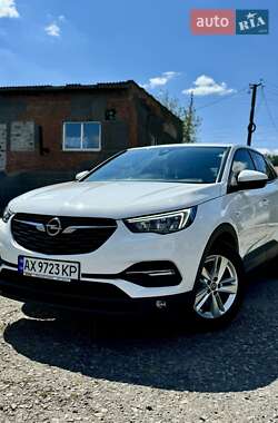 Внедорожник / Кроссовер Opel Grandland X 2021 в 