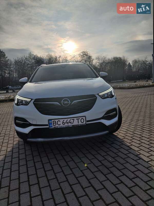 Opel Grandland X 2021 Opel Grandland X 2021
