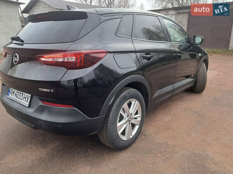 Внедорожник / Кроссовер Opel Grandland X 2019 в Коростене фото 53 Внедорожник / Кроссовер Opel Grandland X 2019 в Коростене