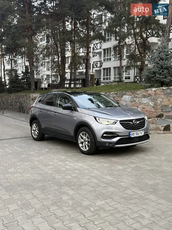 Opel Grandland X 2020 VIN W0VZCYHZXL6025057 фото оголошення 22 з 56