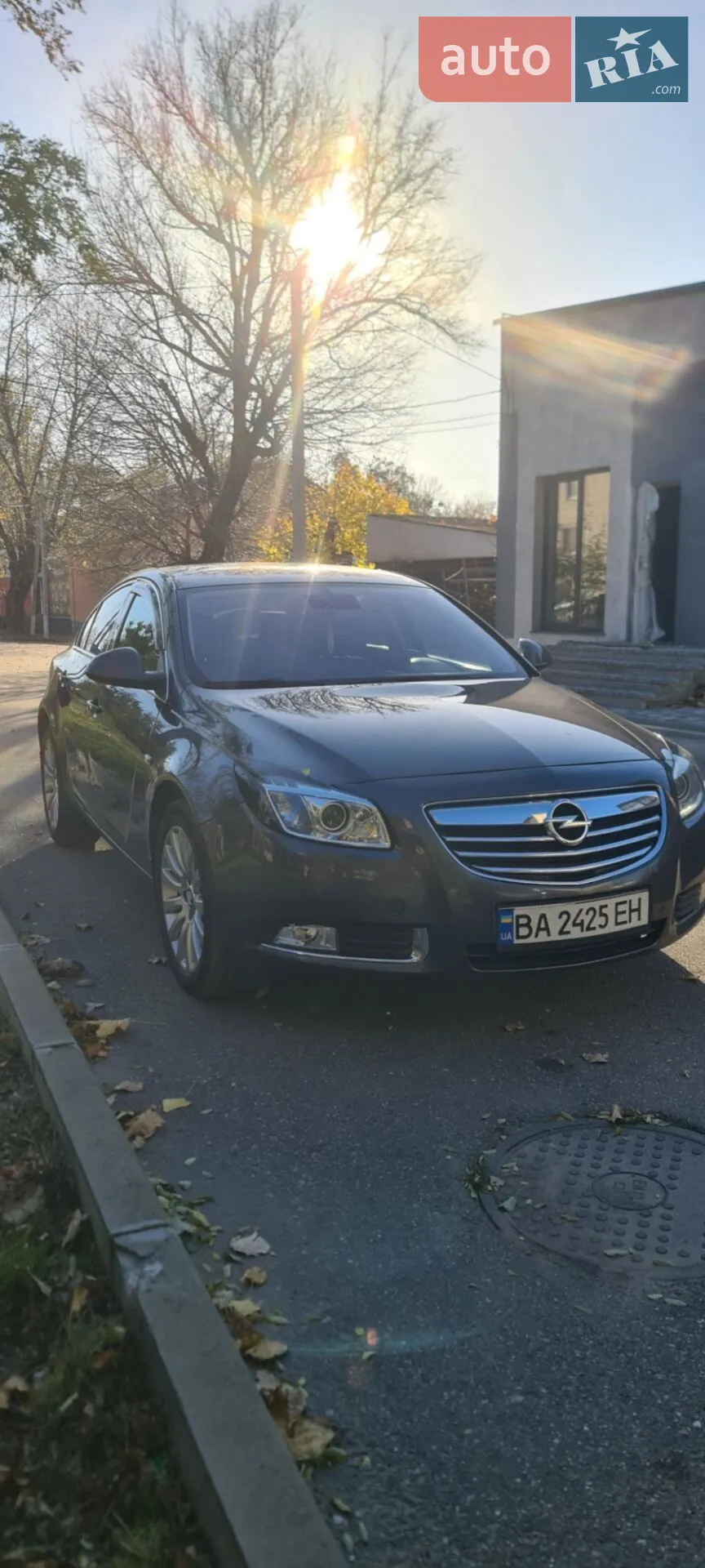 2010 Opel Insignia - мініатюра 2