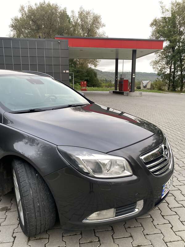 Универсал Opel Insignia 2012 в Залещиках