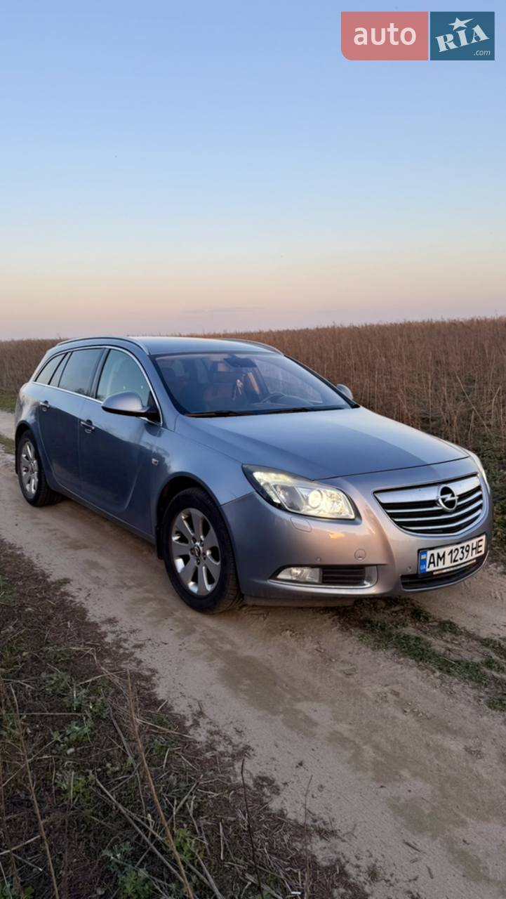 2010 Opel Insignia - мініатюра 16