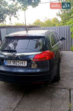 Универсал Opel Insignia 2010 в Врадиевке