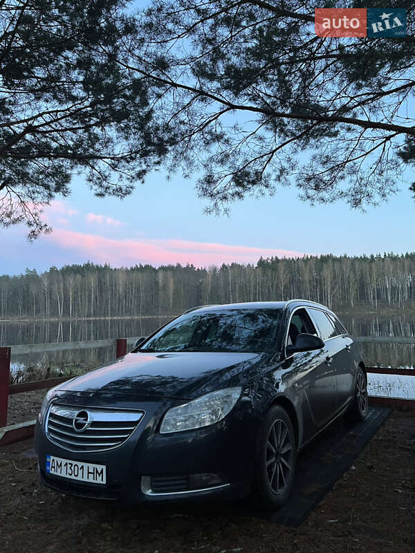 Opel Insignia 2010 Opel Insignia 2010