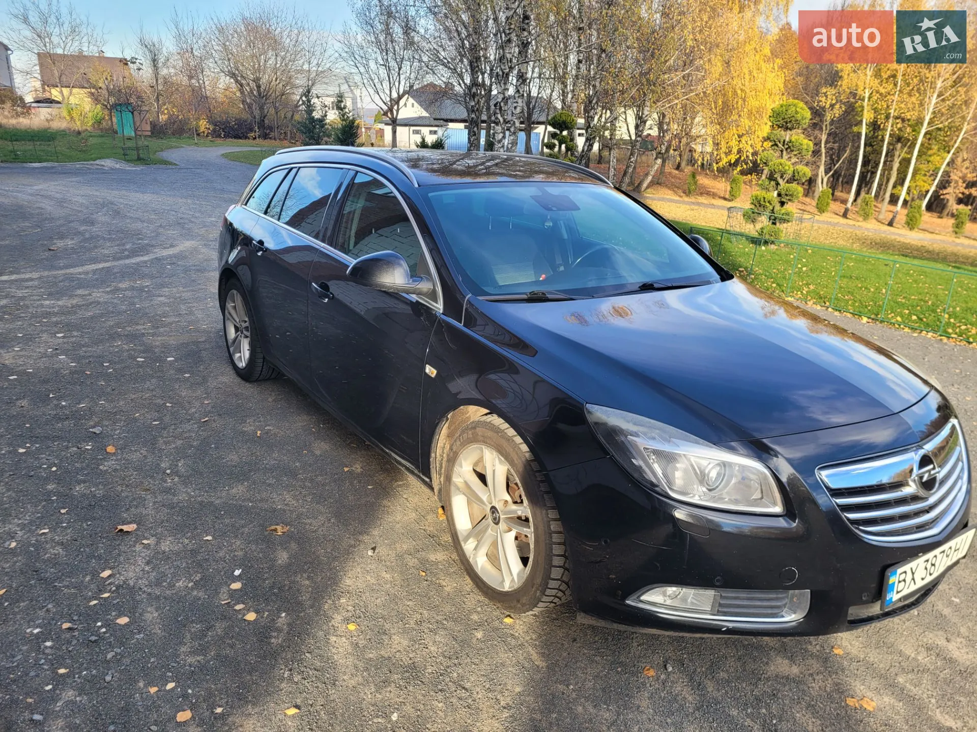 2010 Opel Insignia - мініатюра 12