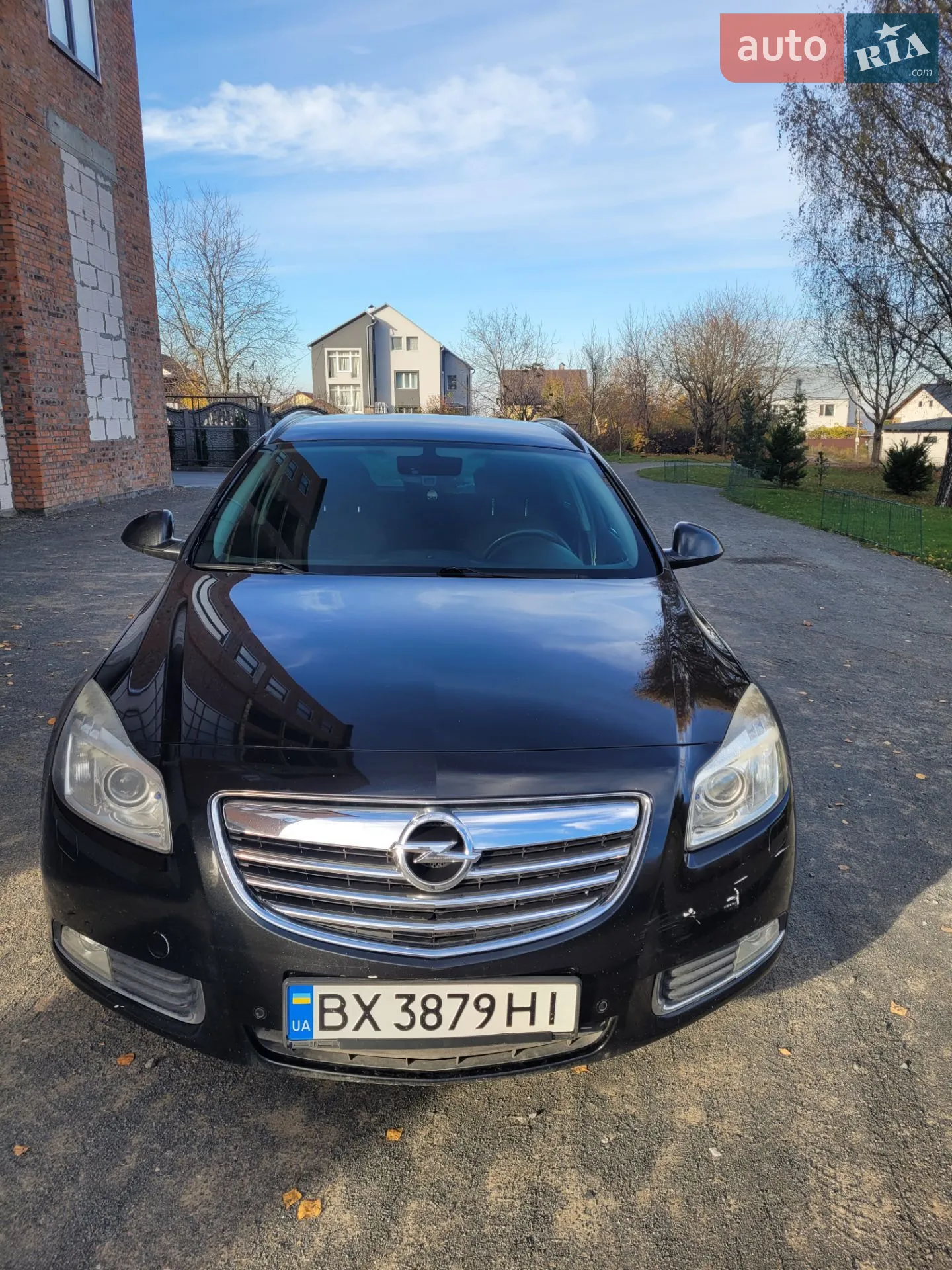 2010 Opel Insignia - фото 1