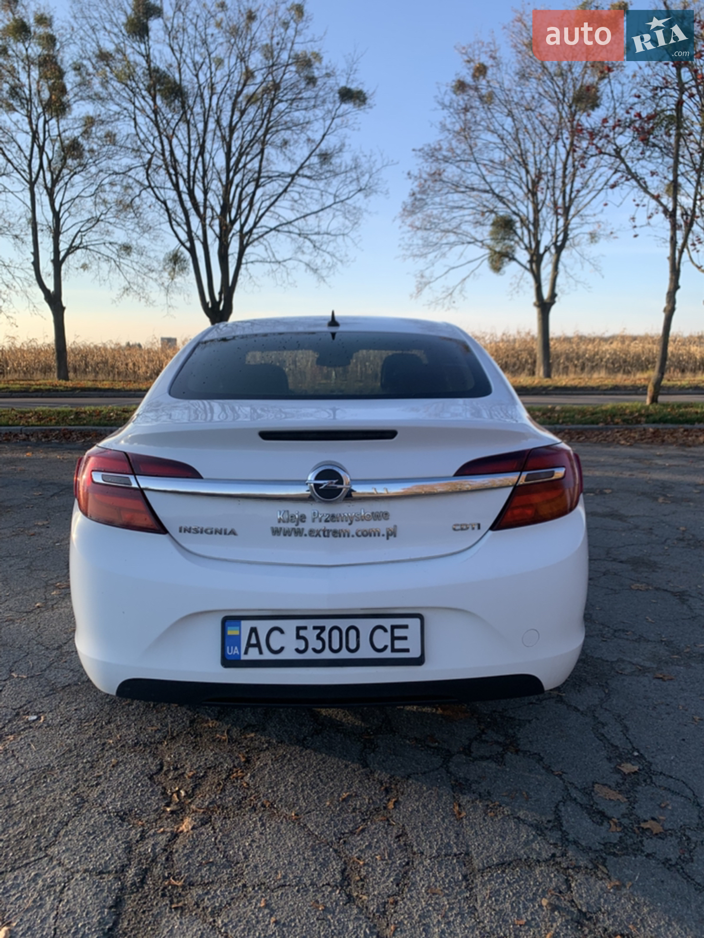 2013 Opel Insignia - мініатюра 8
