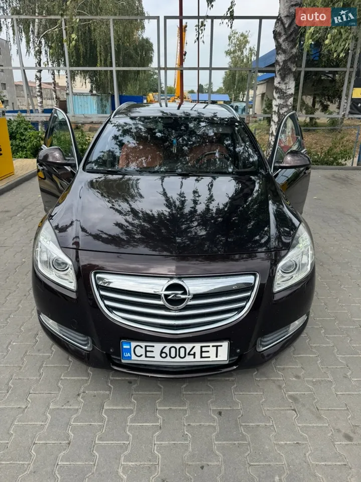 2010 Opel Insignia - мініатюра 10