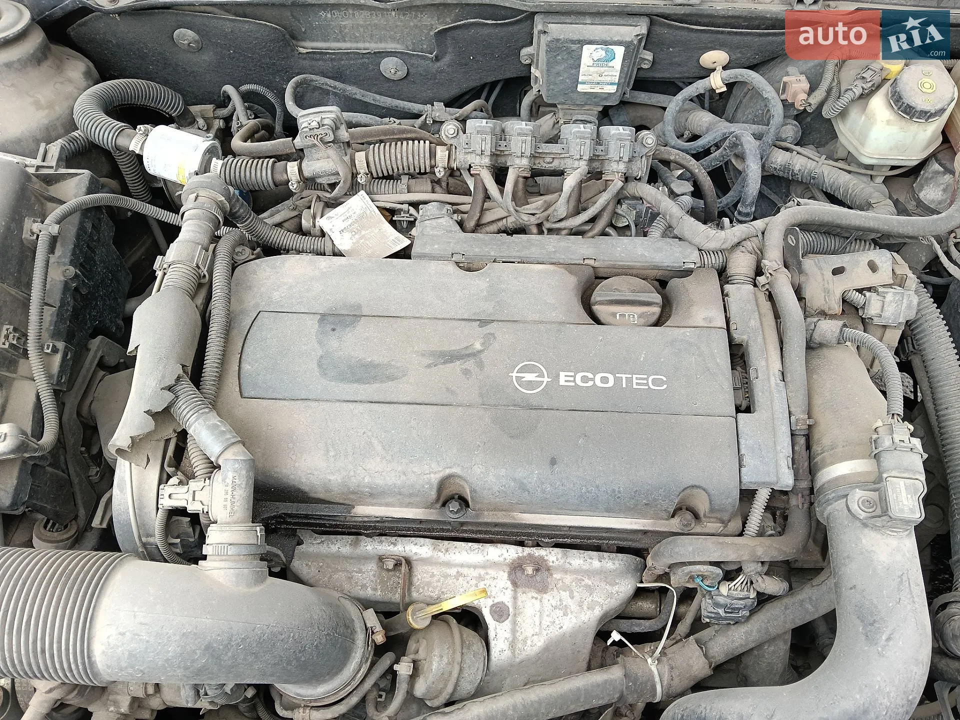 Opel Insignia 2009 VIN W0LGT87B391034273 фото оголошення 21 з 22