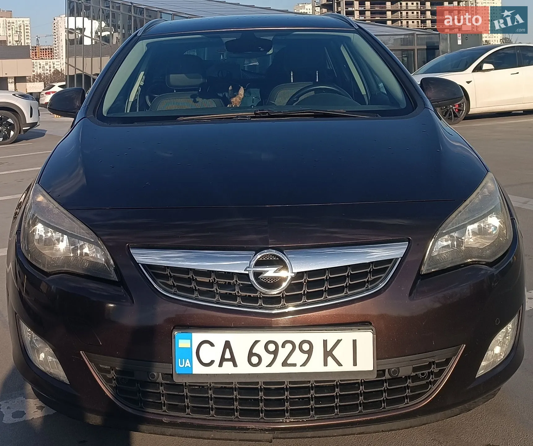 2012 Opel Insignia - мініатюра 3
