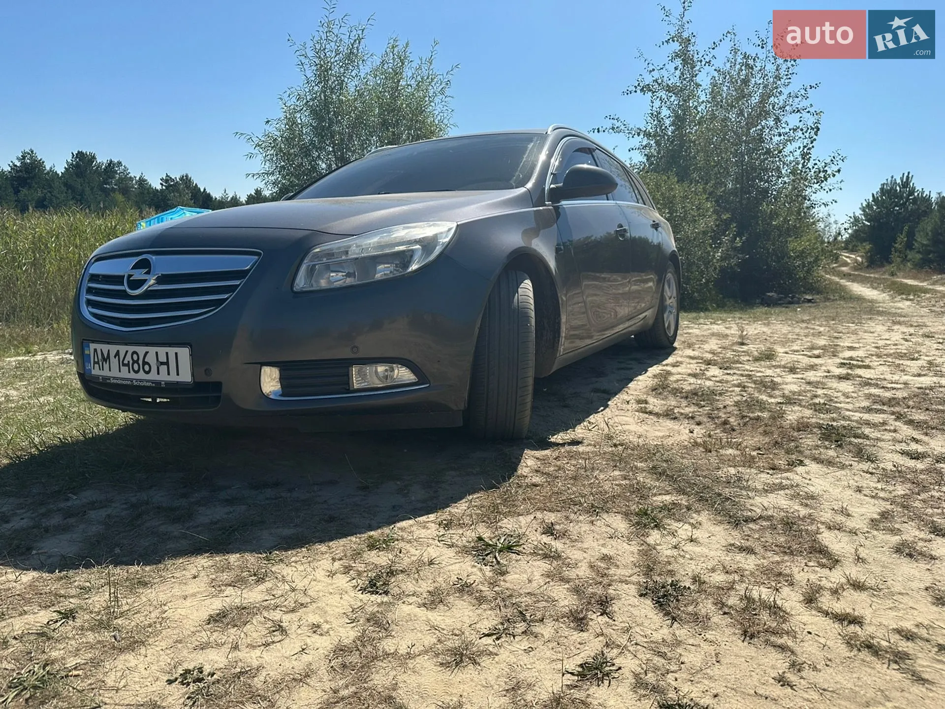 2010 Opel Insignia - мініатюра 2