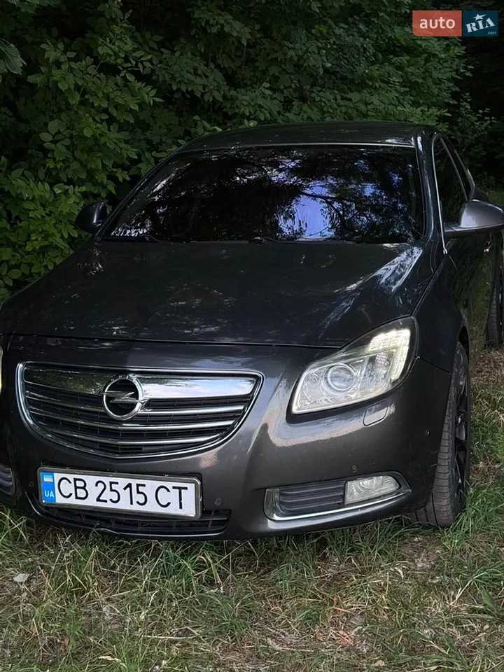 2011 Opel Insignia - мініатюра 19