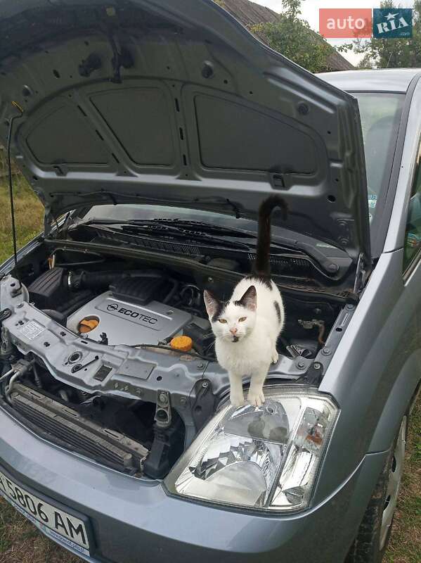 Микровэн Opel Meriva 2005 в Одессе фото 26 Микровэн Opel Meriva 2005 в Одессе