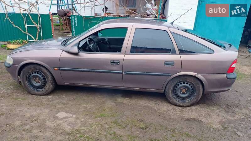 Лифтбек Opel Vectra 1998 в Жашкове