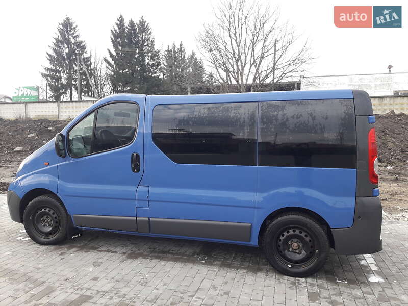 Минивэн Opel Vivaro 2009 в Городенке