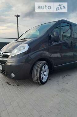 Мінівен Opel Vivaro 2007 в Городенці