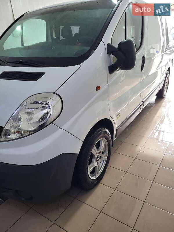 Грузопассажирский фургон Opel Vivaro 2014 в Ананьеве фото 16 Грузопассажирский фургон Opel Vivaro 2014 в Ананьеве