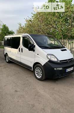 Мінівен Opel Vivaro 2004 в Кривому Розі