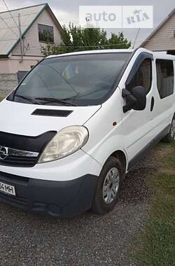 Грузовой фургон Opel Vivaro 2012 в Днепре