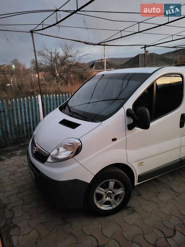 Грузопассажирский фургон Opel Vivaro 2014 в Ананьеве фото 53 Грузопассажирский фургон Opel Vivaro 2014 в Ананьеве