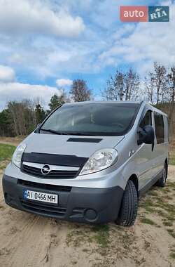 Минивэн Opel Vivaro 2013 в 