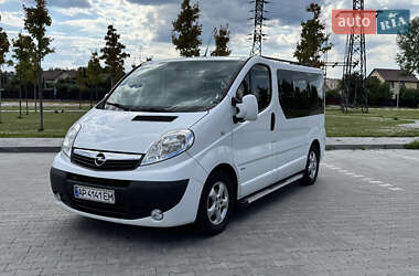 Минивэн Opel Vivaro 2013 в Ирпене