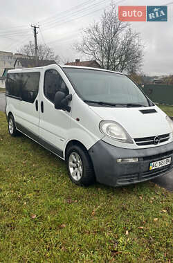Минивэн Opel Vivaro 2006 в Турийске