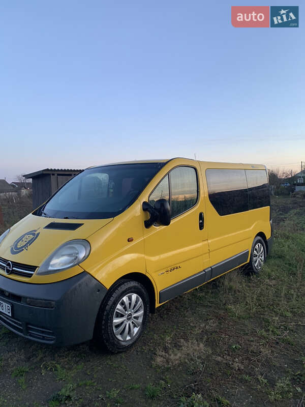 Минивэн Opel Vivaro 2004 в Теофиполе
