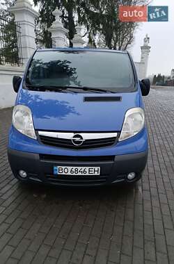 Минивэн Opel Vivaro 2010 в Вишневце